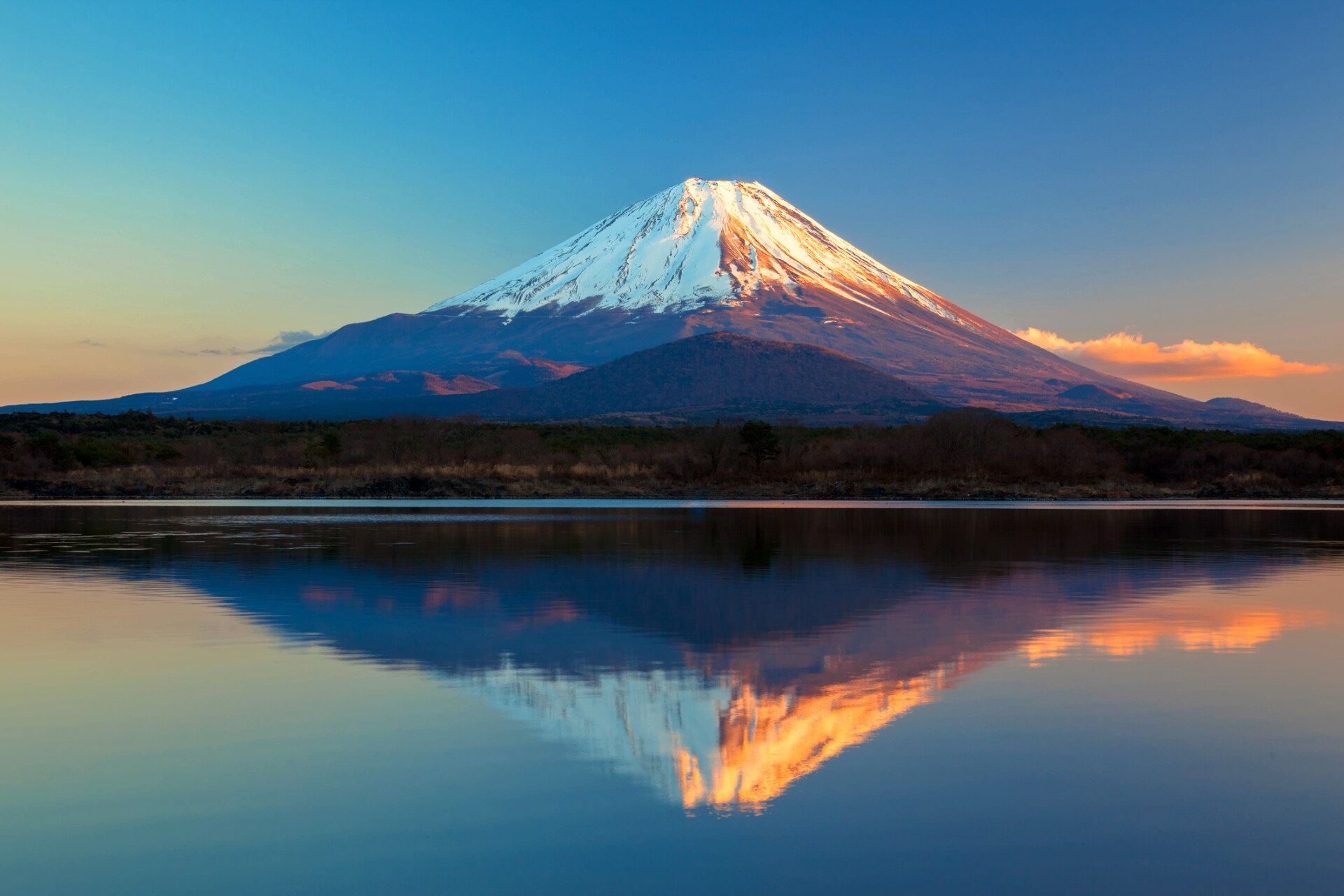 Mt. Fuji